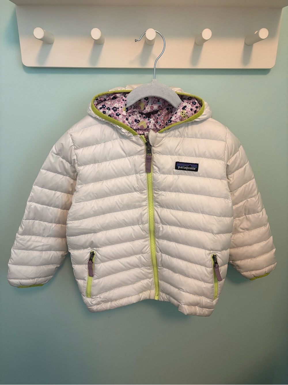 Patagonia Reversible Down Sweater Hoody